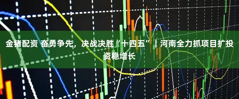 金猪配资 奋勇争先，决战决胜“十四五”｜河南全力抓项目扩投资稳增长