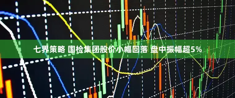 七界策略 国检集团股价小幅回落 盘中振幅超5%